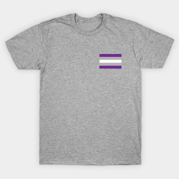 Graysexual Pride Flag T-Shirt by DQDesigns By Chele